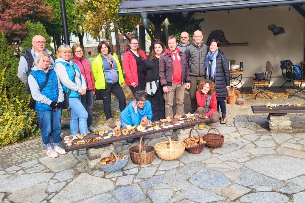 Read more about the article Grzyby w Skrzynkach i w koszykach