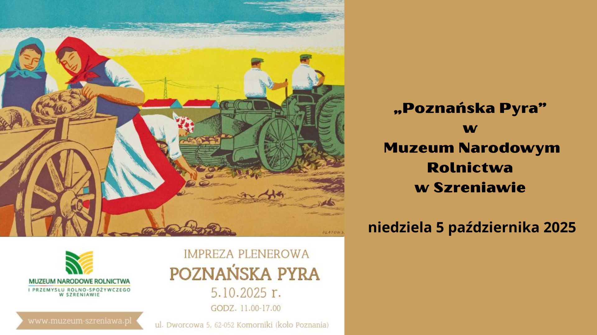 You are currently viewing „Poznańska Pyra” w Muzeum Narodowym Rolnictwa w Szreniawie (k. Poznania)
